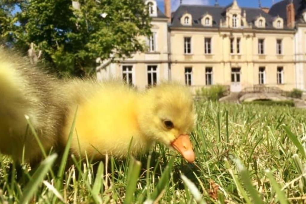 Maison A Colombages Pres De Deauville, Trouville Formentin Εξωτερικό φωτογραφία